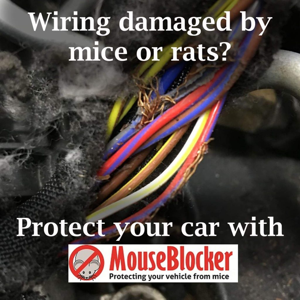 wiring damaged by mice rats